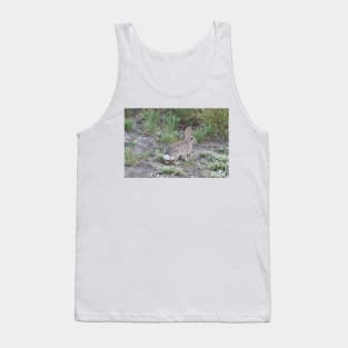 Rabbits, Cottontail Rabbit, Wildlife Tank Top